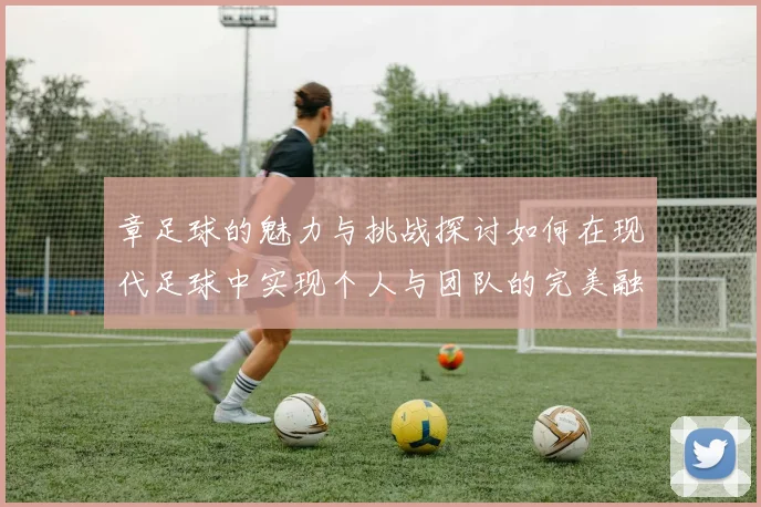 章足球的魅力与挑战探讨如何在现代足球中实现个人与团队的完美融合