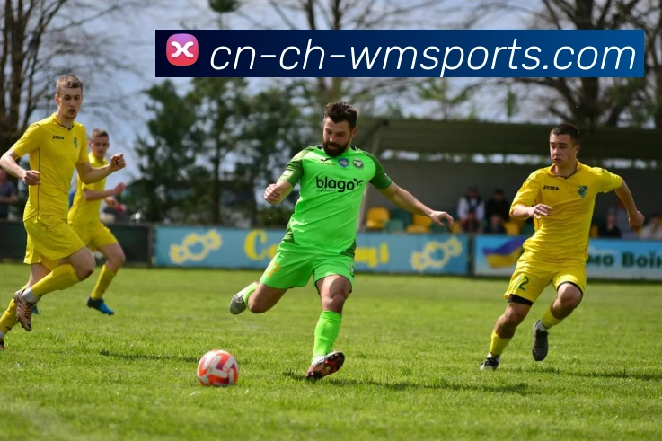 多媒体互动体验